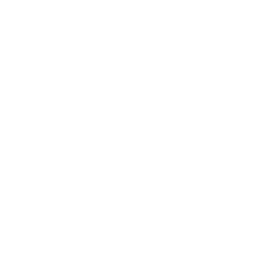 AUP International Institute